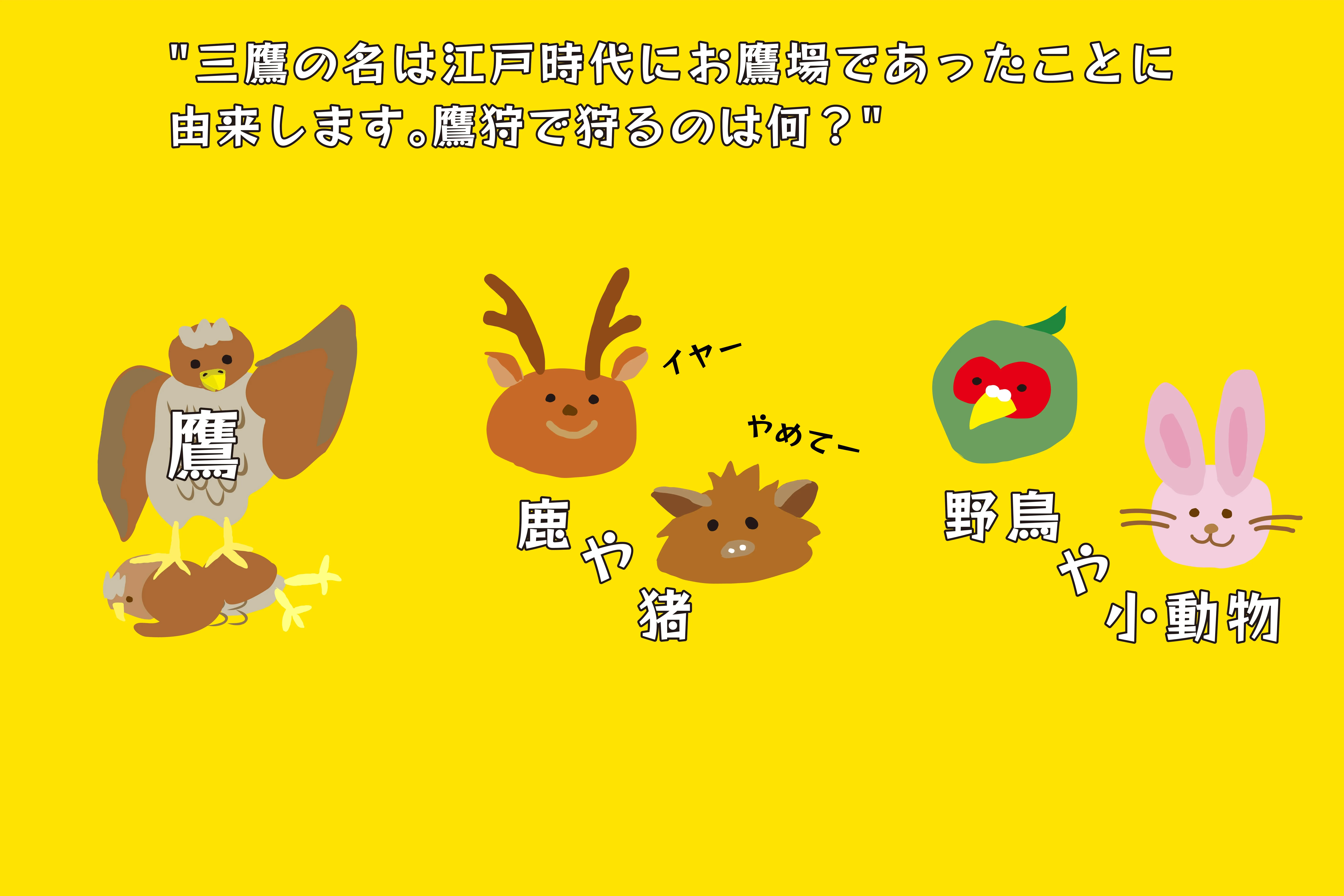 クイズ画像